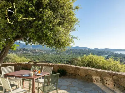 a patio with a table and chairs under a tree at Villa Ficaja 10 pers JACUZZI vue MER PINARELLO in Zonza