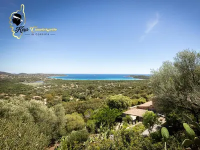 a view of the ocean from the top of a hill at Villa Ficaja 10 pers JACUZZI vue MER PINARELLO in Zonza