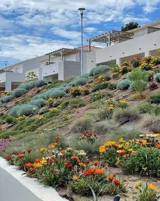 a garden of flowers in front of a building at Appt T4 Accès Plage, piscine privée, clim N3-4 in Linguizzetta