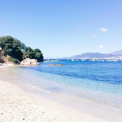 a sandy beach with blue water and trees in the background at Studio à la campagne in Ocana