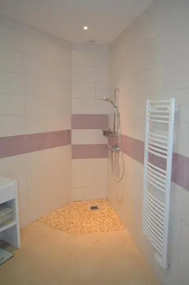 a bathroom with a shower with a shower head at Villa Mare e Machja in Zonza