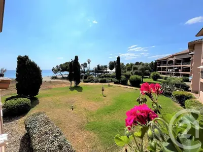 a view of a yard with pink flowers at Les pieds dans l'eau in San-Nicolao