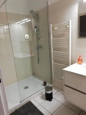 a bathroom with a shower and a sink at Les pieds dans l'eau in San-Nicolao