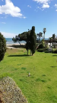a field of grass with trees and the ocean at Les pieds dans l'eau in San-Nicolao