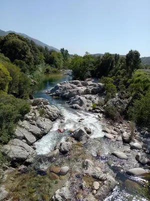 a river with rocks and trees in the background at Logement 5 mn de la mer Milla 2 in Ventiseri