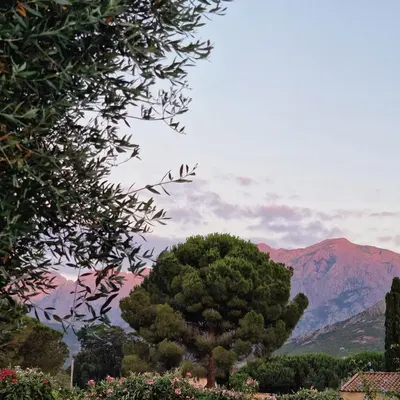 a tree in the foreground with mountains in the background at Casa Figarella in Calenzana