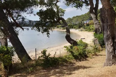 a sandy beach with trees and a body of water at Villa Pieds dans l eau in Porto-Vecchio