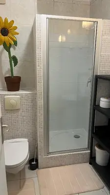 a bathroom with a shower with a toilet and a plant at Le plein soleil in Ajaccio