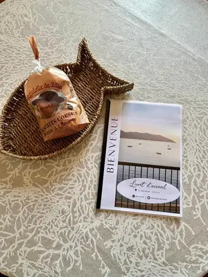 a picture of a book on a table next to a starfish at A 20min d AJACCIO, Grand studio 3 personnes - pieds dans l'eau - accès direct plage - vue mer exceptionnelle in Casaglione