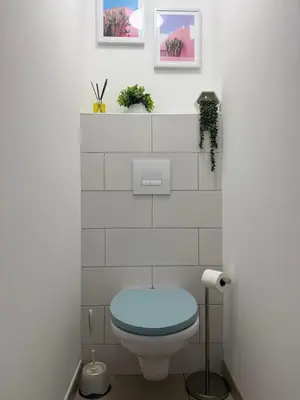 a bathroom with a toilet with a blue seat at Maison a la plage in Poggio-Mezzana