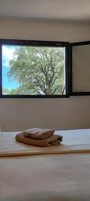 two breads sitting on a table in front of a window at Casa di Cortanni in Castellare-di-Casinca