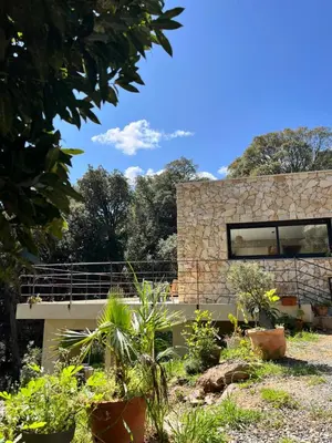 a stone house with a window in a garden at Casa di Cortanni in Castellare-di-Casinca