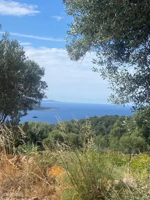 a view of the ocean from a hill with trees at A Malgrana - Tente lodge hébergement insolite in Coti-Chiavari