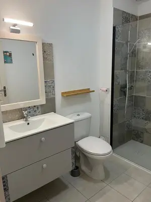 a bathroom with a toilet and a sink and a shower at Corse villa T3 piscine in Santa-Maria-Poggio