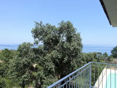 a view of a tree from the balcony of a house at Villa Villa Orizonte by Interhome in Favone
