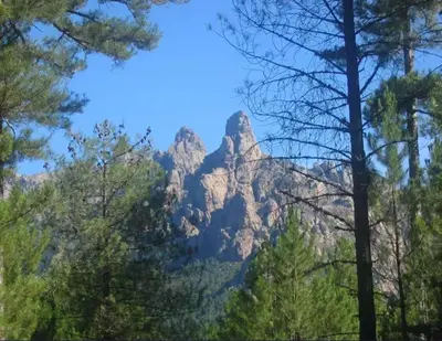 a mountain in the middle of a forest of trees at Villa avec vue sur la mer à Sari-Solenzara, piscine privée in Sari Solenzara