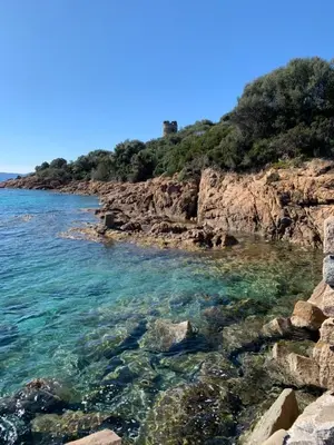 a rocky shore with clear blue water and trees at Chambre indépendante dans villa bord de mer in Vico