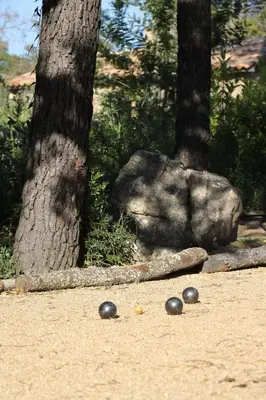 three black balls on the ground in front of trees at Hameau de Petripini in Sotta