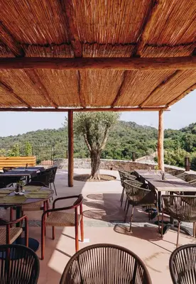 a patio with tables and chairs and a wooden roof at Domaine Santa Margherita in Castellare-di-Casinca