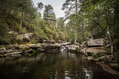 a river in a forest with a waterfall at Chambre de charme à Evisa in Evisa