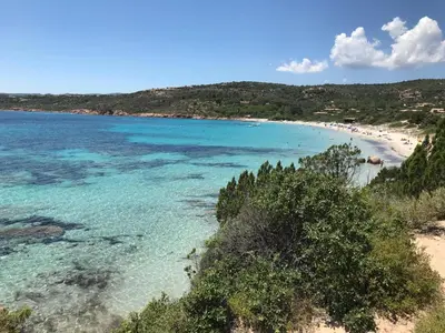 a view of a beach with trees and the water at Le Berceau d'Asciaghju Palombaggia - Accès plage et Piscine privée in Porto-Vecchio