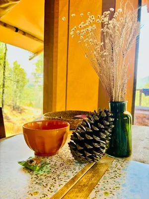 a bowl and a vase with a pine cone on a table at Lodge A NASSA in Olivese