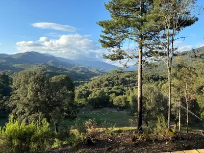 a view of a valley with trees and a river at Lodge A NASSA in Olivese