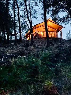 a house sitting on top of a hill with trees at Lodge A NASSA in Olivese
