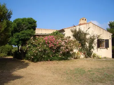 a house with a bush of flowers in front of it at Villa pieds dans l'eau sur la plage in Pianottoli-Caldarello