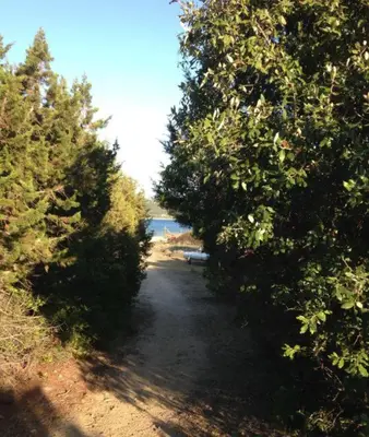 a path between two trees with a bench in the middle at Villa pieds dans l'eau sur la plage in Pianottoli-Caldarello