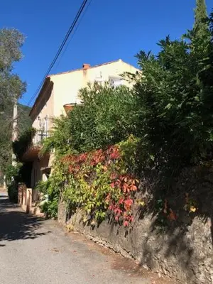 a retaining wall with flowers and plants on a street at BandB les rosiers - Hellébore in Conca
