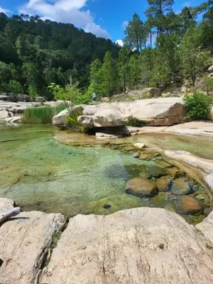 a pool of water with some rocks and trees at BandB les rosiers - Hellébore in Conca