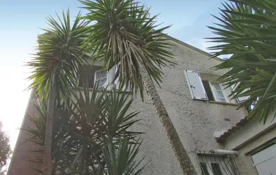 two palm trees in front of a building at Holiday Home Sagone Xlvii in Sagone