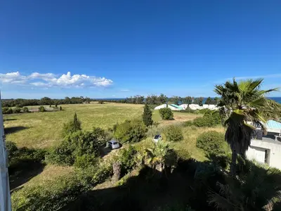 an aerial view of a field with palm trees and a house at Duplex vue mer à Piana Verde Canale-di-verde in Canale-di-Verde
