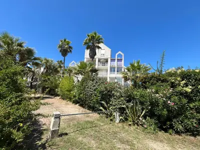 a house on the beach with palm trees and bushes at Duplex vue mer à Piana Verde Canale-di-verde in Canale-di-Verde
