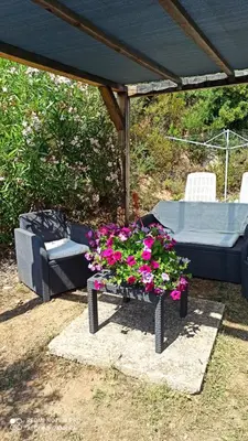 a patio with a table with flowers and a couch at Petit chalet in Pianottoli-Caldarello