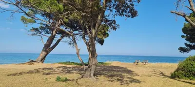 a bench sitting on a beach near the ocean at Limiria Studio in Santa-Maria-Poggio