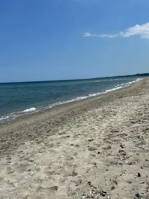 a sandy beach with the ocean in the background at Pavillon chez Michel corse in Poggio-Mezzana