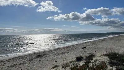 a beach with the ocean on a cloudy day at Pavilllon en corse chez Michel in Poggio-Mezzana