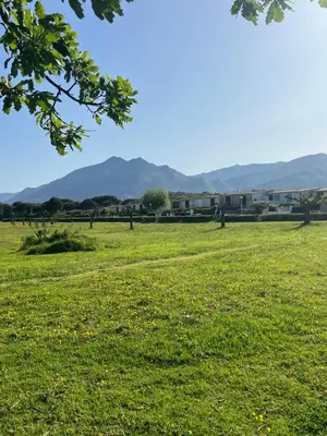 a field of green grass with mountains in the background at Pavilllon en corse chez Michel in Poggio-Mezzana