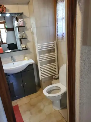 a small bathroom with a toilet and a sink at Maison de village in Silvareccio