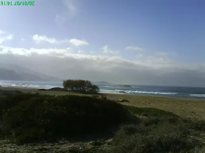 a beach with a tree and the ocean at Villa vue mer 400m plages et commerces calme confort pour 6 à 8 personnes soins de remise en forme possible in Propriano