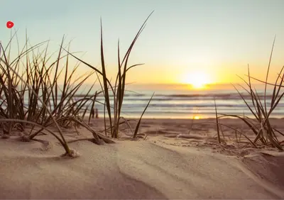 a sunset on a beach with grass in the sand at Jardin-Marin-Ajaccio in Ajaccio