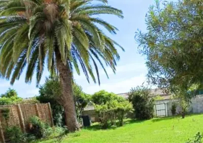 a palm tree in a yard with a field at Jardin-Marin-Ajaccio in Ajaccio