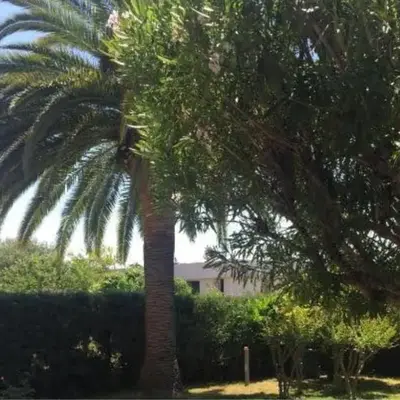 Jardin-Marin-Ajaccio