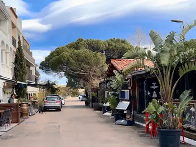 a street with parked cars and plants on the sidewalk at Charmant 2 pièce tout équipé climatisé in Sainte-Lucie de Porto-Vecchio