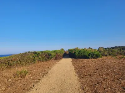 a dirt road leading into a field with trees at La BénéCIOLA, vue Mer, Box Fibre SFR, High Speed Internet in Cervione
