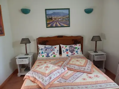 a bedroom with a large bed with two night stands at Maison des pruniers in Furiani