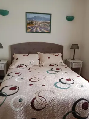 a bedroom with a bed with a flowered bedspread at Maison des pruniers in Furiani