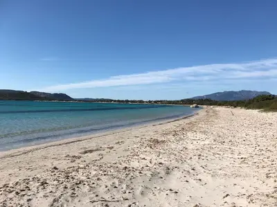 a sandy beach with the ocean and mountains in the background at Studio bord de mer in Lecci